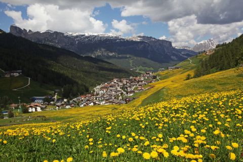 Summer in Alta Badia Image: Summer in Alta Badia